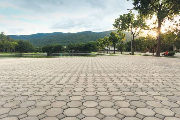 Best Commercial Driveway Pavers  in Paw Paw Lake, MI